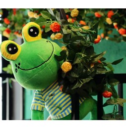 Soft Frog Plush Toy 50 cm for Kids