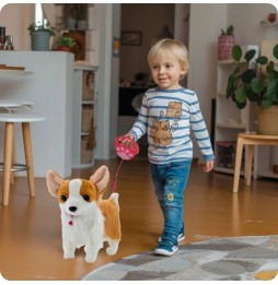 Interactive Corgi Dog on a Leash