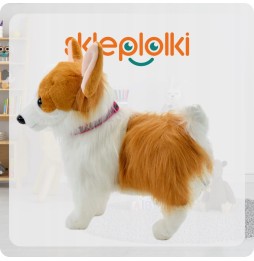 Interactive Corgi Dog on a Leash