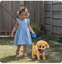 Interactive Puppy on a Leash