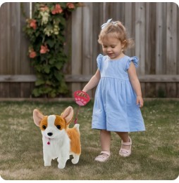 Interactive Corgi Dog on a Leash