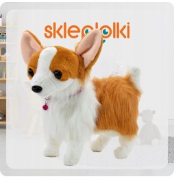 Interactive Corgi Dog on a Leash