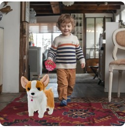 Interactive Corgi Dog on a Leash