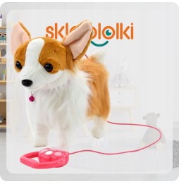 Interactive Corgi Dog on a Leash