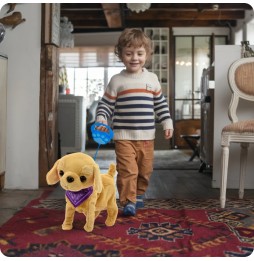 Interactive Puppy on a Leash