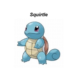 Pokemon Squirtle Plush Toy 20 cm