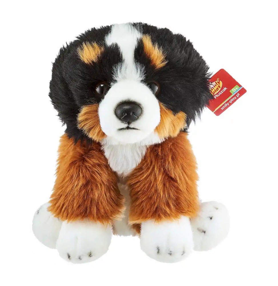 Bernese dog plush toy Smily Play 30 cm