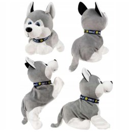 Interaktywny piesek Husky na prezent
