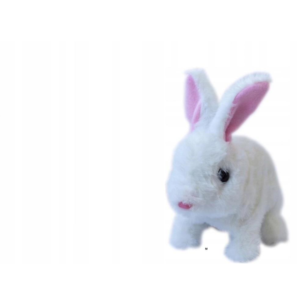 Askato Jumping Bunny Plush Toy