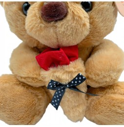 Teddy Bear for Valentine's Day 35 cm