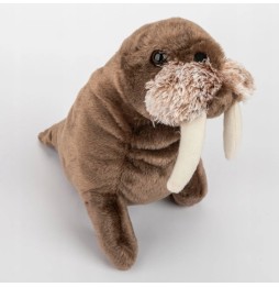 Arctic Walrus Plush Toy 20 cm