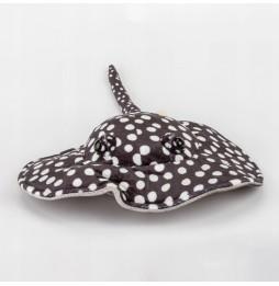 Black Spotted Ray 26 cm