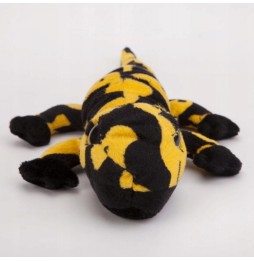 Salamandra czarno-żółta 40 cm