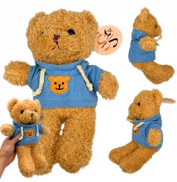 Hooded Teddy Bear Plush 25 cm