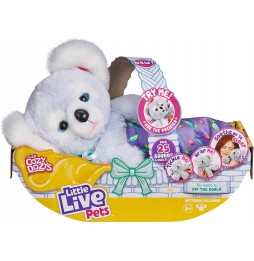 Interactive Koala Cozy Dozys Little Live Pets