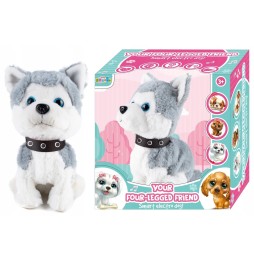 Interactive Puppy for Kids