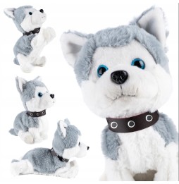 Interactive Puppy for Kids