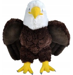 Eagle Plush Toy 30cm for Kids