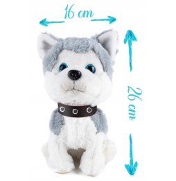 Interactive Puppy for Kids