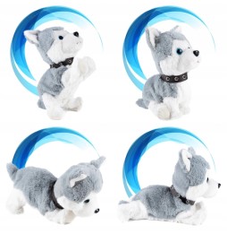 Interactive Puppy for Kids