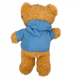 Hooded Teddy Bear Plush 25 cm