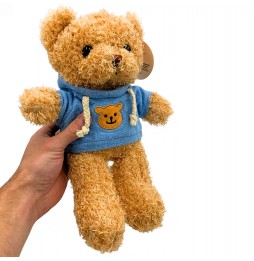 Hooded Teddy Bear Plush 25 cm