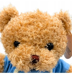 Hooded Teddy Bear Plush 25 cm