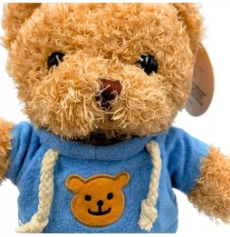 Hooded Teddy Bear Plush 25 cm