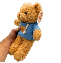 Hooded Teddy Bear Plush 25 cm