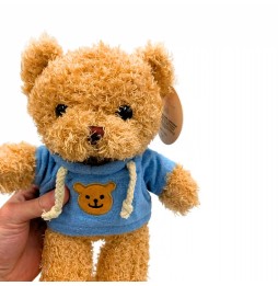 Hooded Teddy Bear Plush 25 cm