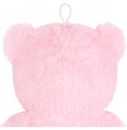 Pink Bear with I Love U Message 25cm