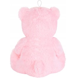 Pink Bear with I Love U Message 25cm