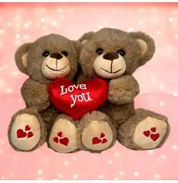 Teddy Bear with Heart for Valentine's Day