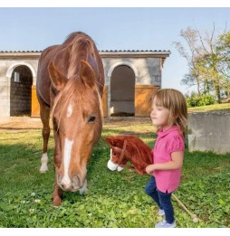 Hobby Horse Wooden Toy