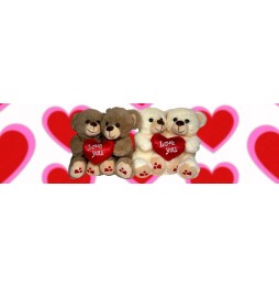 Teddy Bear with Heart for Valentine's Day