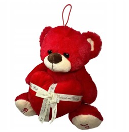 Large Plush Bear 30 cm for Valentine's Day