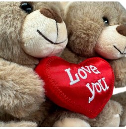 Teddy Bear with Heart for Valentine's Day