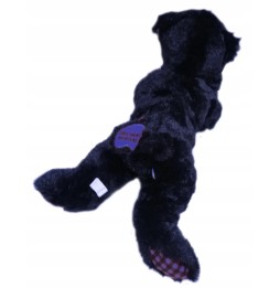 Plush Bear with Great Smoky Mountains Inscription