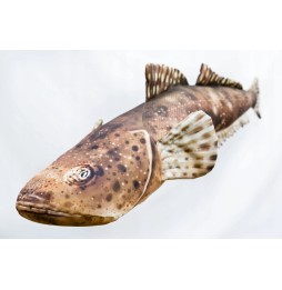 Gaby Fish Plush Pillow 97 cm