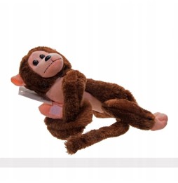 Monkey Plush Toy with Sound