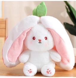 Bunny Carrot 2in1 Plush Toy