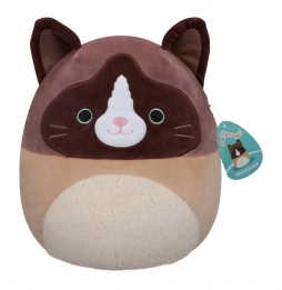 Maskotka Squishmallows Kot Woodward 30 cm