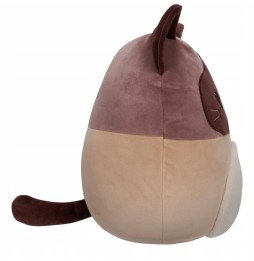 Maskotka Squishmallows Kot Woodward 30 cm