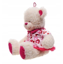 White Teddy Bear with Heart Dress