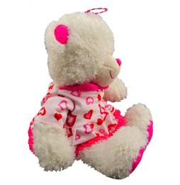 White Teddy Bear with Heart Dress