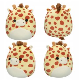 Squishmallows żyrafa Gary 19 cm