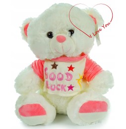 35 cm Emaj Teddy Bear Plush Toy for Kids