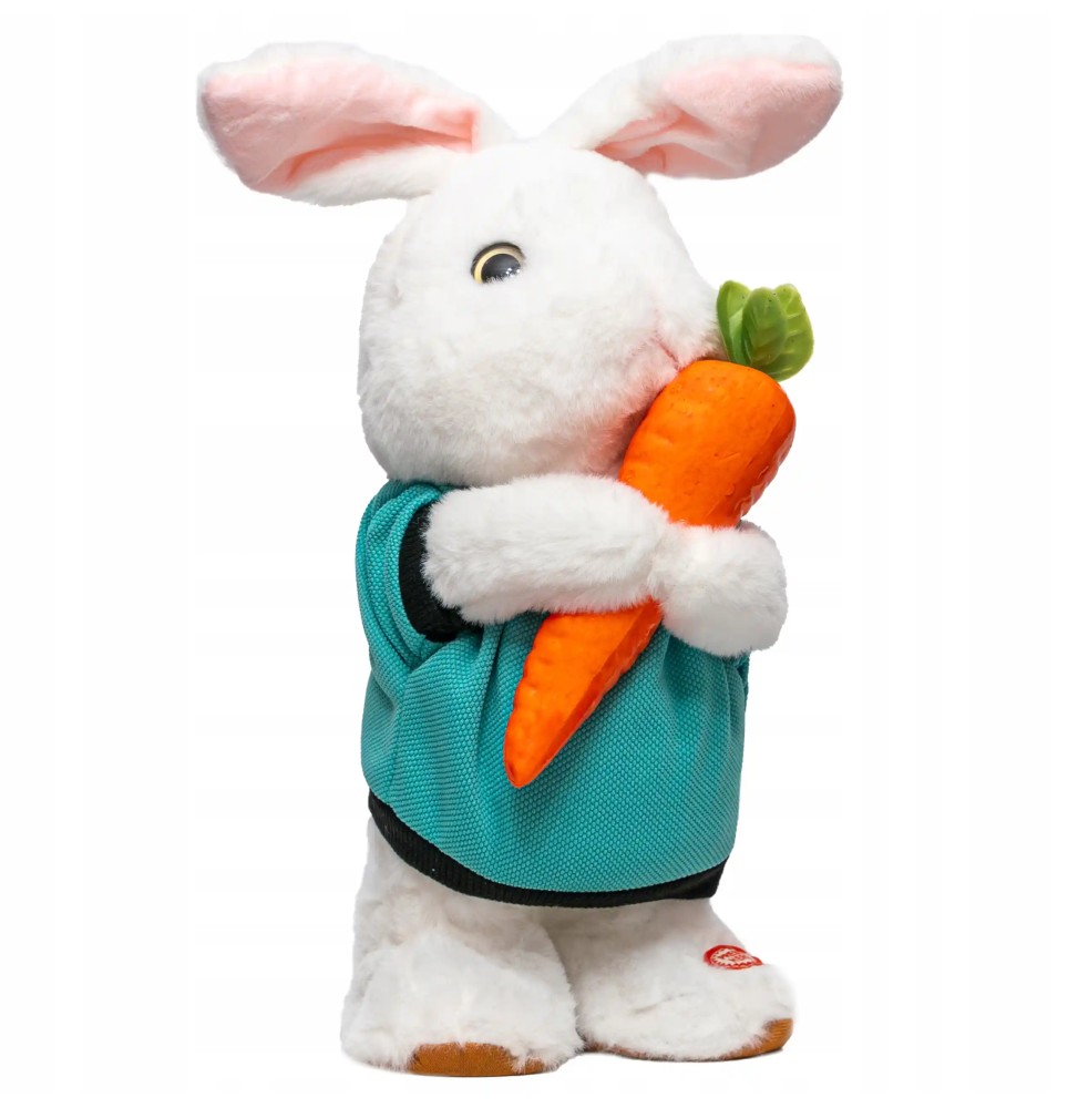 Interactive Bunny with Carrot