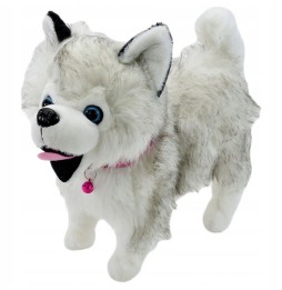 Interactive Husky Puppy for Kids