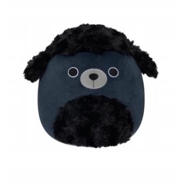 Maskotka Squishmallows Jettward pudel 19 cm